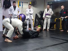 -金翼跆拳道巴西柔术拳击格斗学院