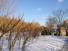 -天津市和平区西宁道清真寺
