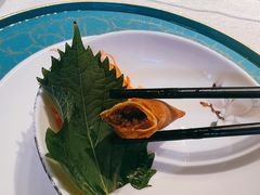 -松云泽