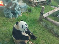 -大连森林动物园