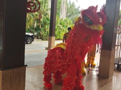 -三亚亚龙湾红树林度假酒店