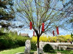 -大槐树寻根祭祖园