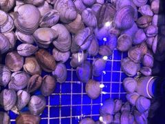 -青蓬蒸汽海鲜·深圳老字号·团建聚会(壹方城店)