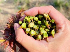 -青州市云门山风景区