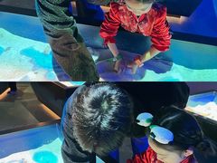 -珠海横琴国家地理探险家中心(创新方)