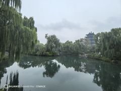 -鹊华居·地道鲁菜·海鲜·融合味(大明湖店)