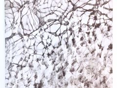 -胶囊画廊