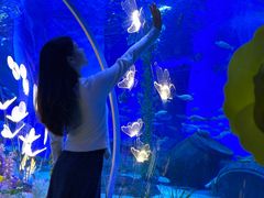-顺德南宏海立方海洋公园