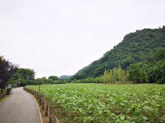 -贵阳市花溪国家城市湿地公园
