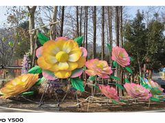 -青龙山国家森林公园