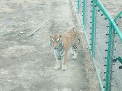 -新疆天山野生动物园