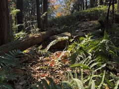 -尚湖风景区