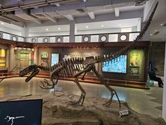 -自贡恐龙博物馆