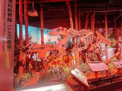 -正佳自然科学博物馆