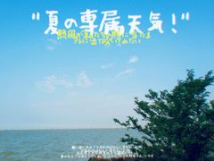 -上海吴淞炮台湾国家湿地公园