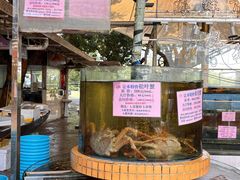 -荔城生鲜盛宴(番禺旗舰店)