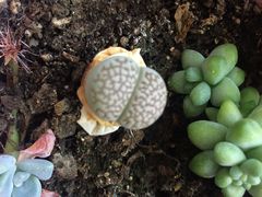 -锦绣博文幼儿园