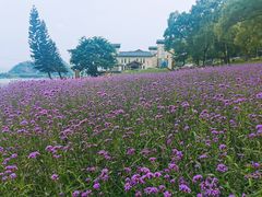 -宝晶宫旅游景区