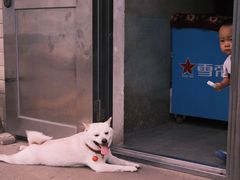 -栖凤渡鱼粉基地凤楚传奇