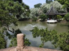 -上海醉白池公园