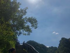-阊门姚记豆浆(旧学前直营店)