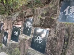 -高尔山公园