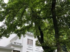 -广东温泉宾馆