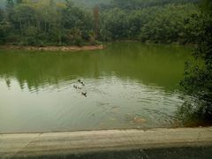 -滴水岩森林公园