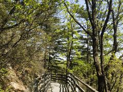 -云蒙山风景区