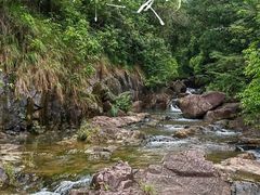 -广州白江湖森林公园