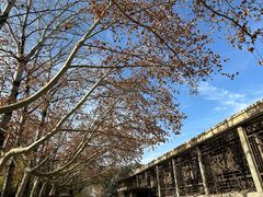 -秦始皇帝陵博物院(兵马俑)
