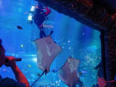 -沈阳海洋探索中心