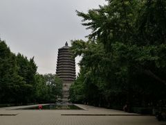 -玲珑塔公园