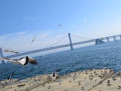 -星海广场