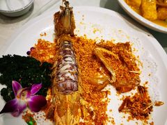 -大东海海鲜酒楼(渔人码头总店)