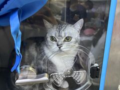 -谐和益家动物医院·免疫绝育·血液透析·宠保定点医院(高新伊藤分院)