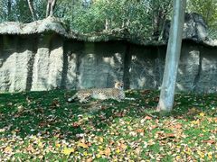 -北京野生动物园