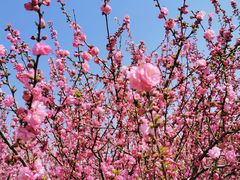 -兴安湖生态运动公园