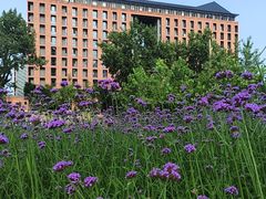 -浙江大学(紫金港校区)