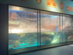 -海合安武汉极地海洋公园