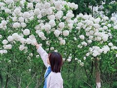 -盘龙城国家考古遗址公园