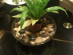 android_upload_pic-粗茶淡饭·汉口公馆(循礼门店)