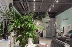 点击看大图 -Will+ Hair Studio