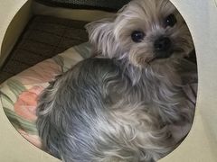 -FAELING PETS美天灵宠物(富力广场店)