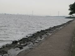-海鸥岛
