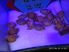 -小天鹅戴斯酒店鲸鲨百汇创作料理