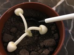 -漢咖啡·全服务式自助晚餐(武汉洲际酒店)