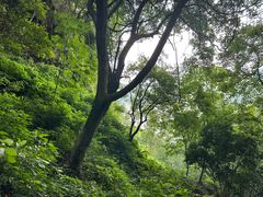 -严子陵钓台(富春江小三峡)