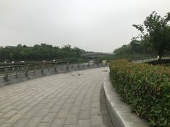 -南翔镇银翔湖公园