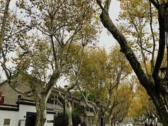 -北山街历史文化街区